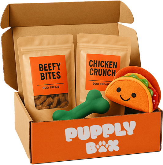 Dog Subscription Box for Aggressive Chewers? Here's What Every Dog Parent Should Know