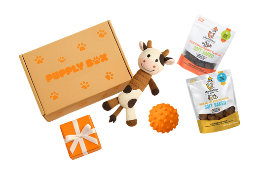 What is the best dog subscription box?