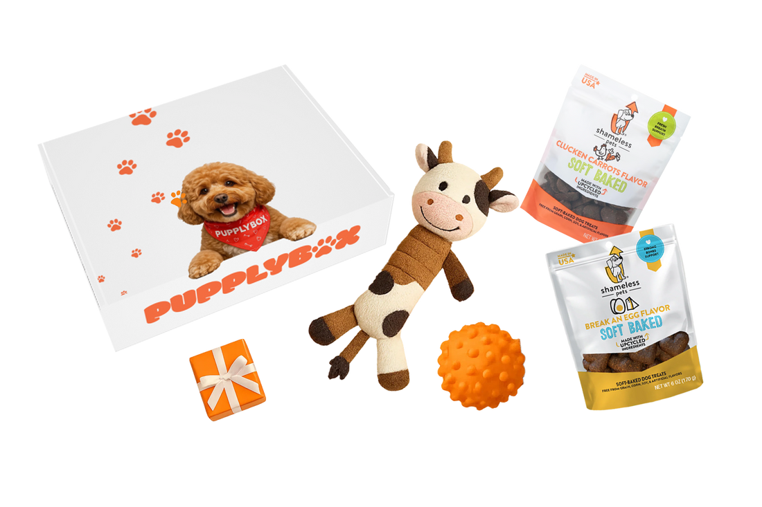 Best Dog Subscription Box?