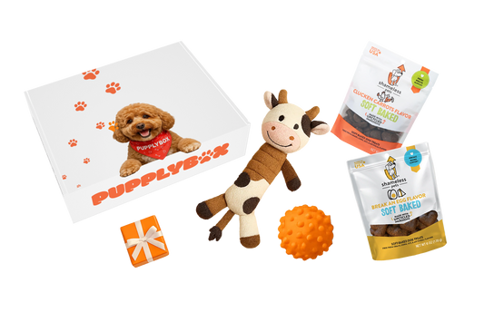 Best Dog Subscription Box?