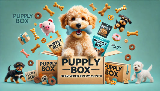 Affordable Dog Subscription Box? Here's How to Get the Best Value for Your Pup